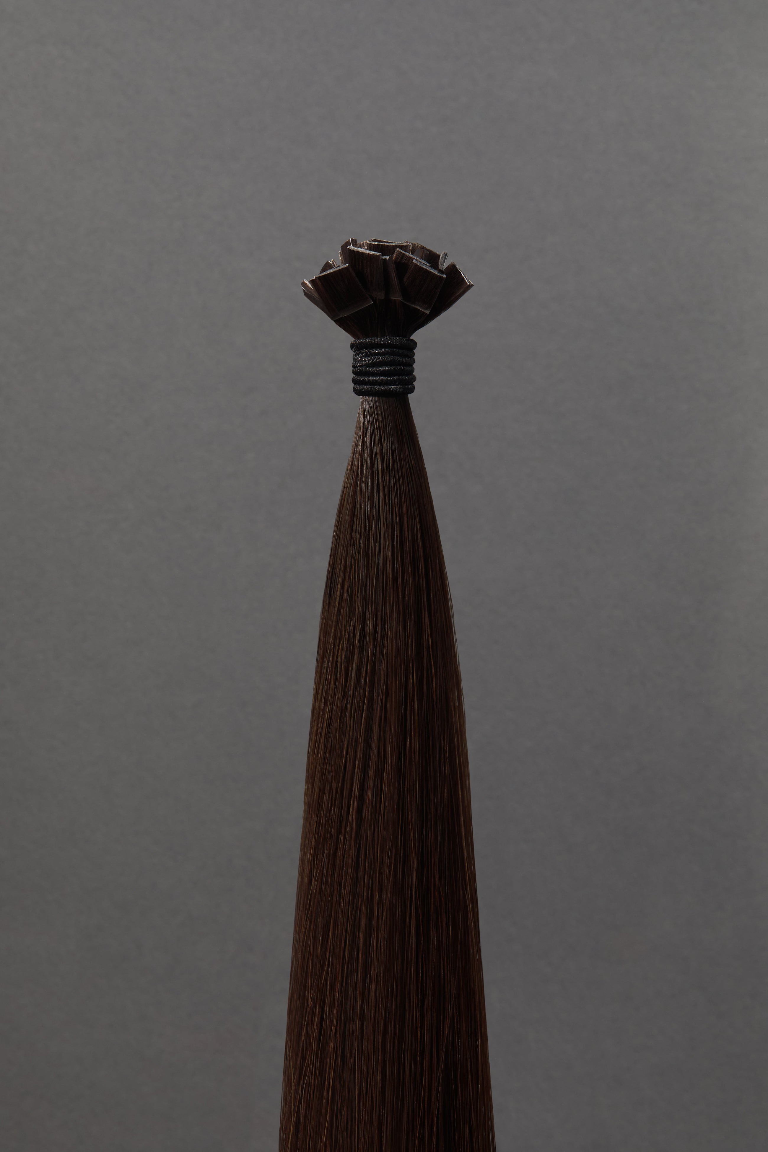 Vieux Carré - K-Tips