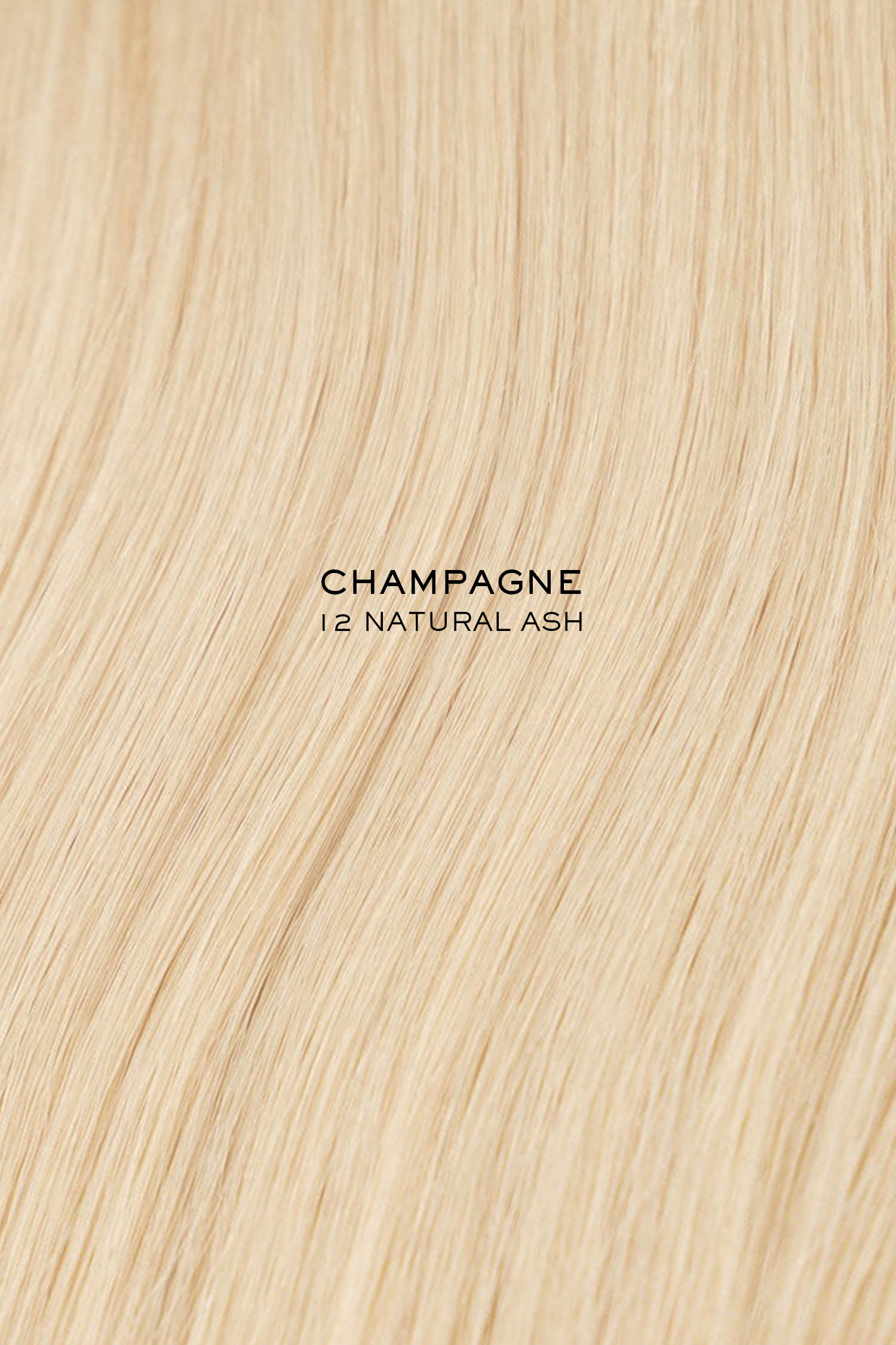 Champagne - Classic Weft