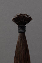 Vieux Carré - K-Tips