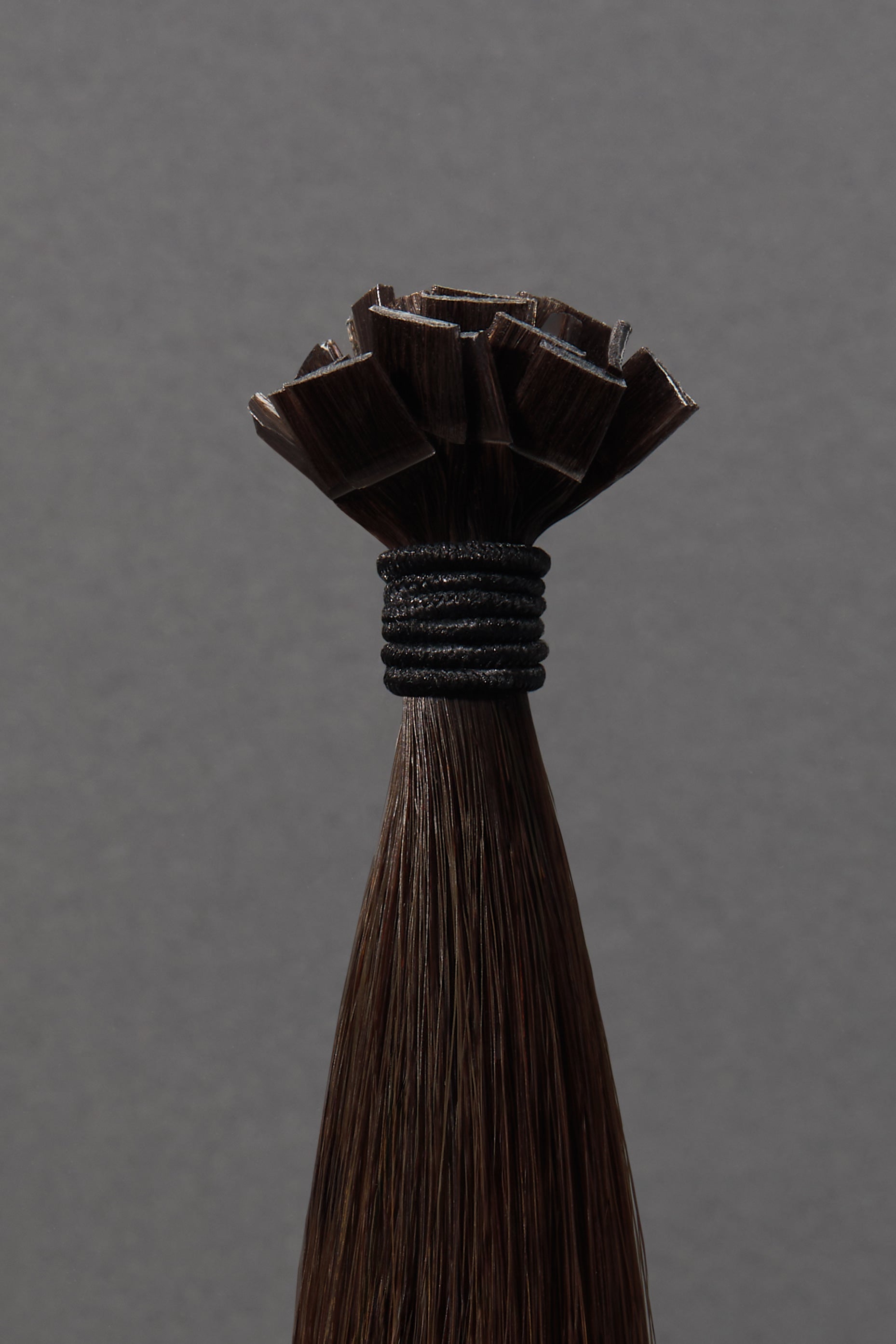 Vieux Carré - K-Tips