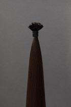 Vieux Carré - K-Tips