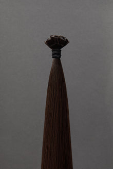 Vieux Carré - K-Tips