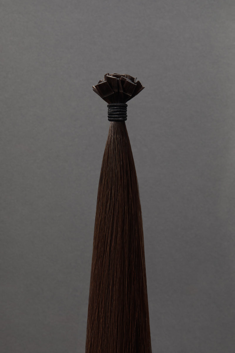 Vieux Carré - K-Tips