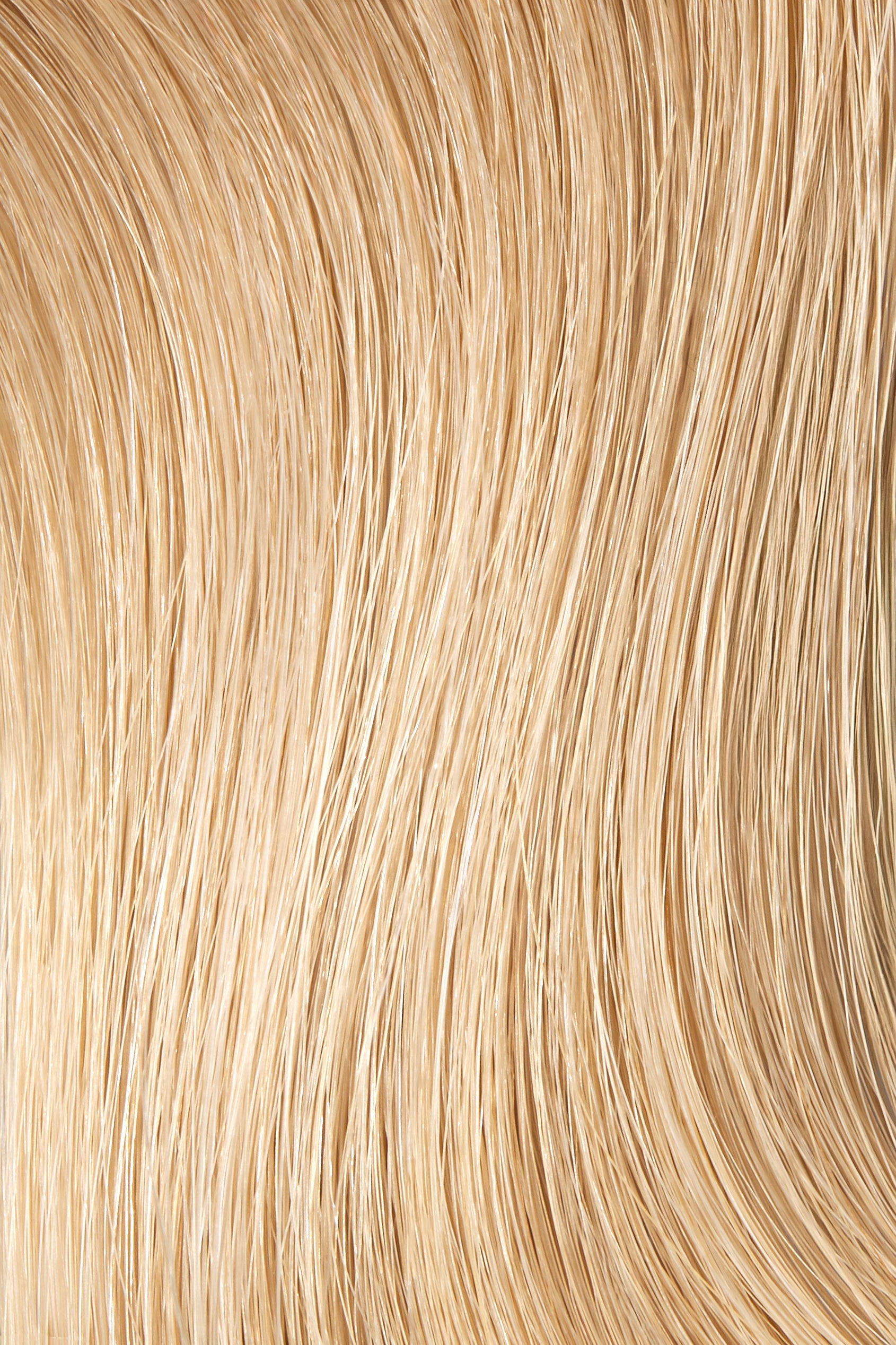 Margarita - Redefined Weft