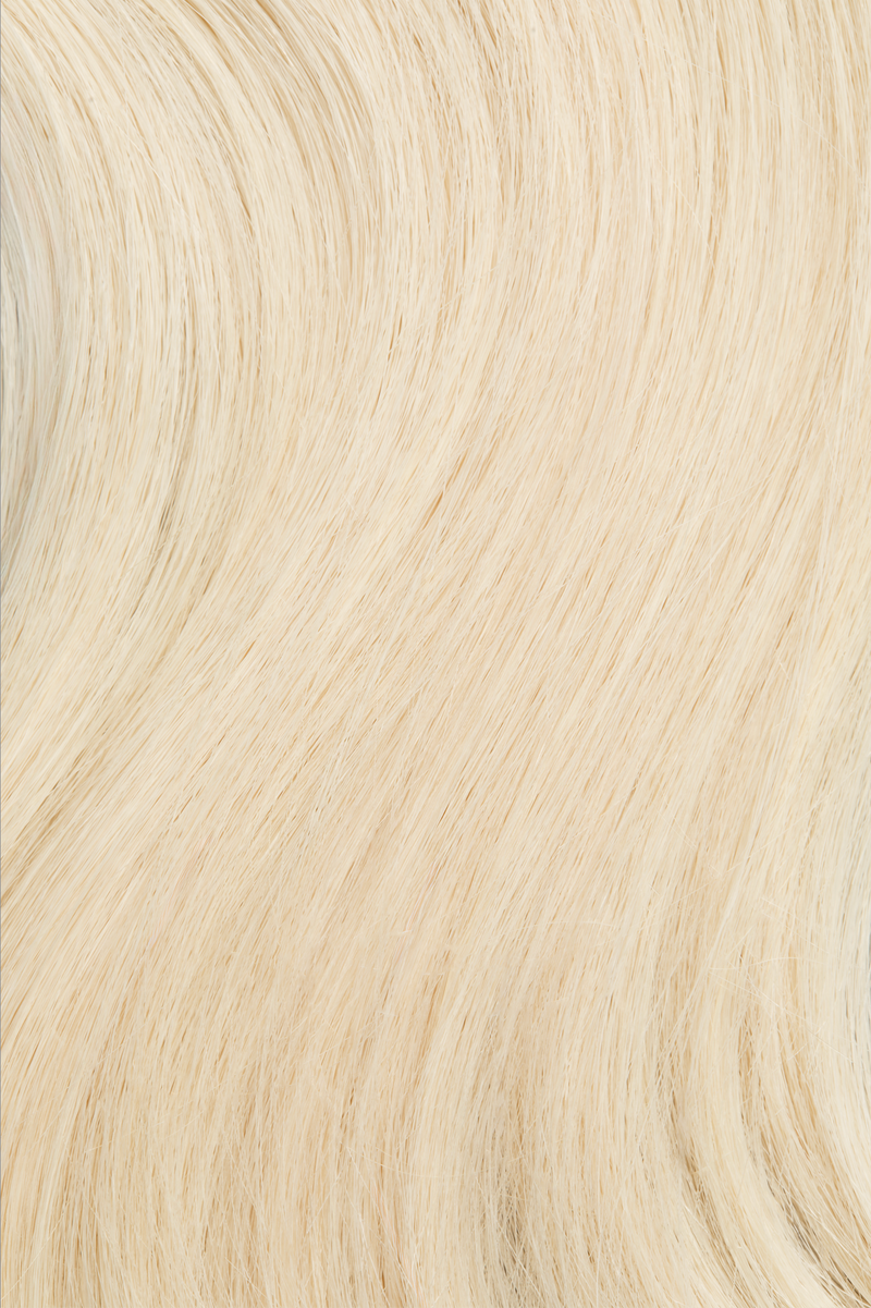 Bee's Knees - Redefined Weft