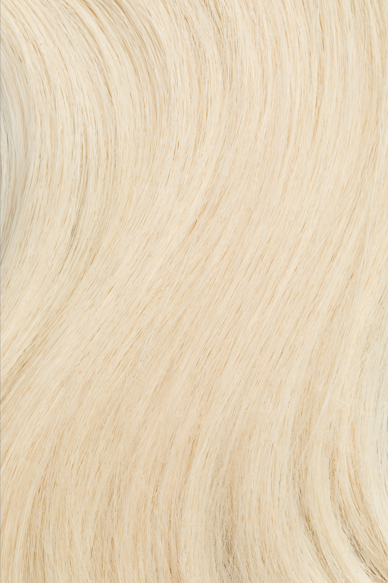 Bee's Knees - Redefined Weft