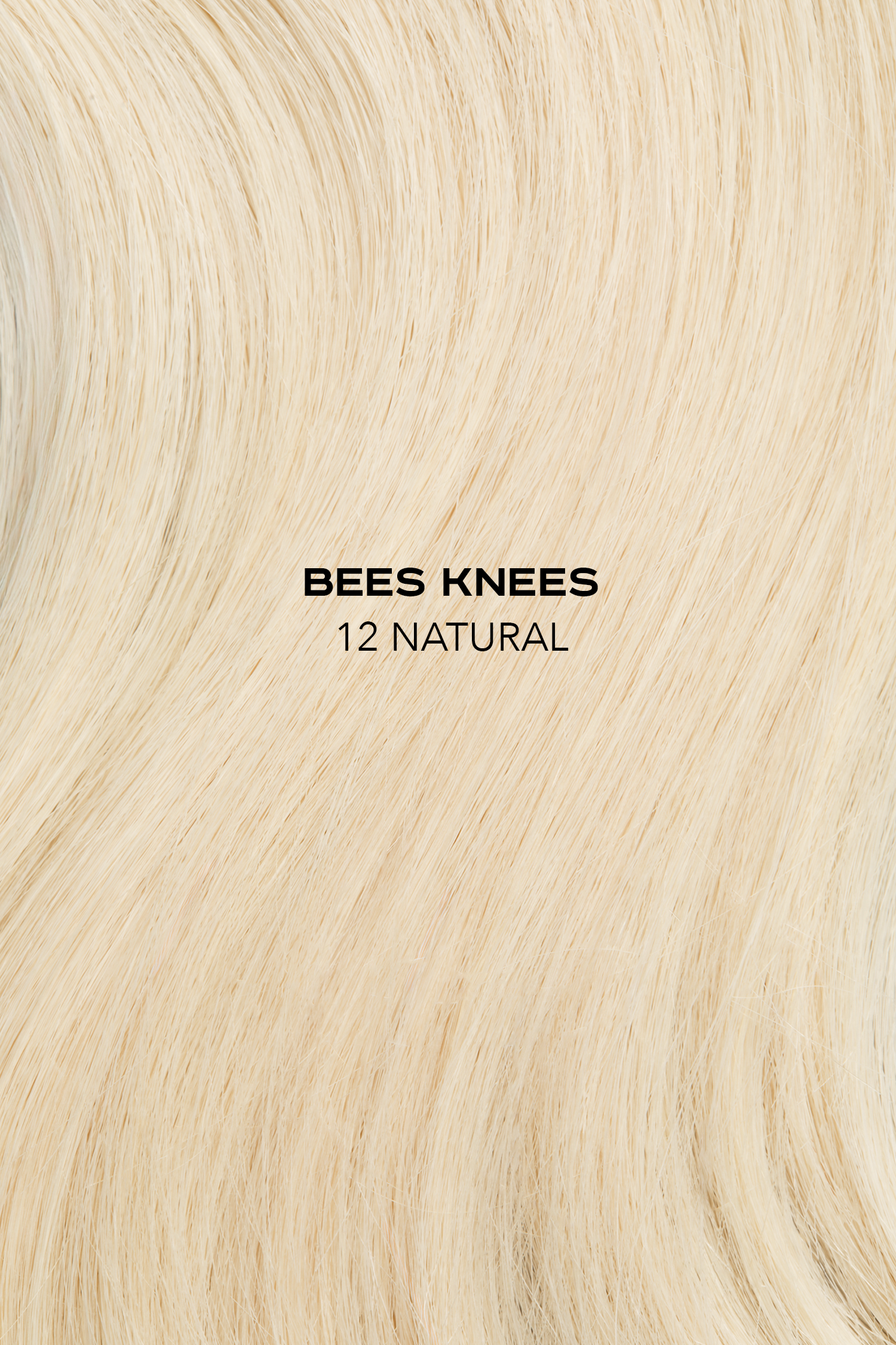 Bee's Knees - Redefined