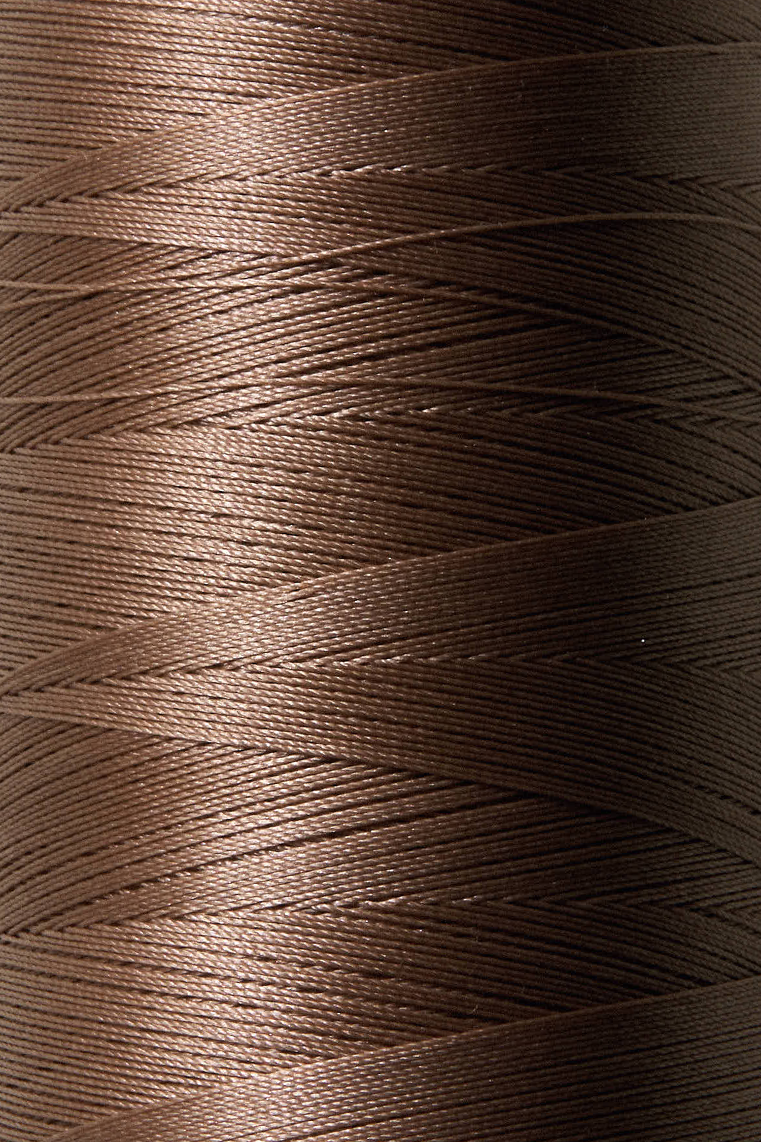 Bonded Nylon Thread - Dark Blonde